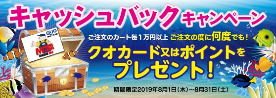 今月のキャッシュバックタイトル