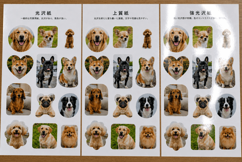 選べる仕様の用紙