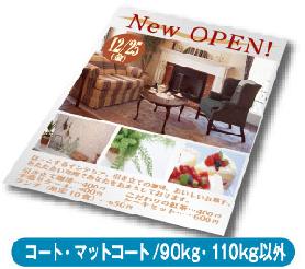 ¥Õ¥é¥¤¥ä¡¼¡¦¥Á¥é¥·¡Ê¥³¡¼¥È¡¦¥Þ¥Ã¥È¥³¡¼¥È/90kg¡¦110kg°Ê³°¡Ë
