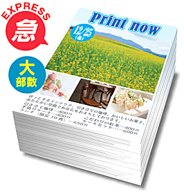 フライヤー・チラシ大量特急(紙種限定)