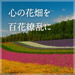 印刷通販JBF 会長VOICE image