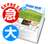 コンセプト商品05