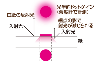 網点とモアレ 干渉縞 とドットゲインの解説 高品質で格安印刷通販ならjbf